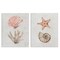 Stupell Industries Neutral Pastel Sea Life 2pc Canvas Wall Art Set Design by Filippo Ioco